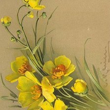 Схема вышивки «orchidea»