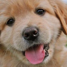 Схема вышивки «дружок»