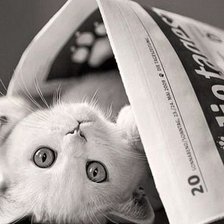 Схема вышивки «026»