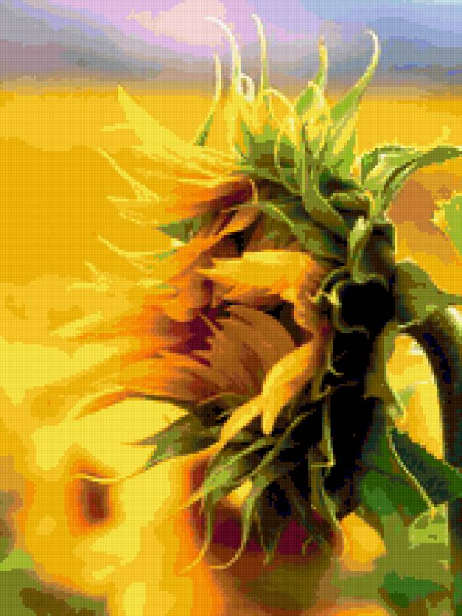 подсолнух - подсолнух, цветы - предпросмотр