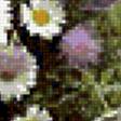 Предпросмотр схемы вышивки «ромашки» (№229623)