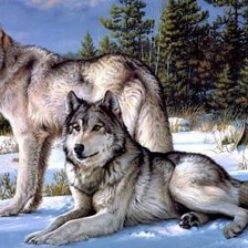 Схема вышивки «№229671»