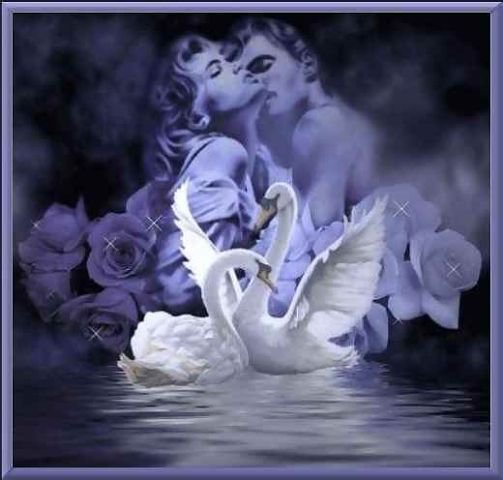 №229672 - оригинал