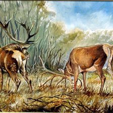 Схема вышивки «szarvas»