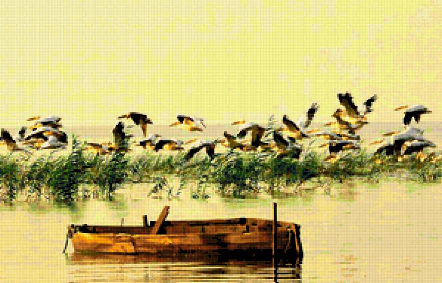 madarak - предпросмотр