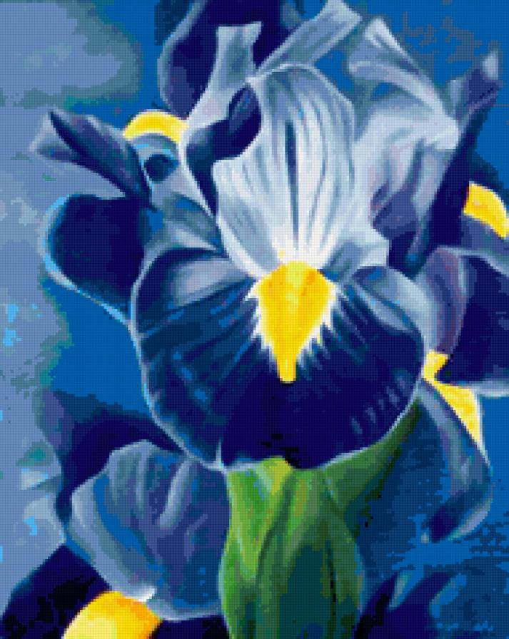 ирисы - букет, цветы, природа, натюрморт.ирисы, , романтика - предпросмотр