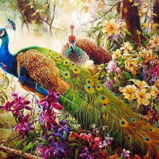 Схема вышивки «павлины»