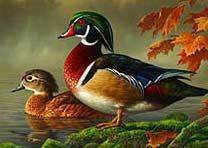 Схема вышивки «№229773»