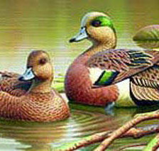 Схема вышивки «№229774»