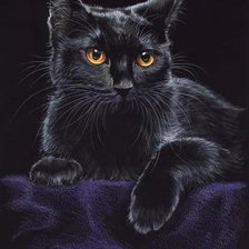 Схема вышивки «№229799»