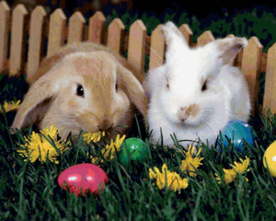 №229827 - предпросмотр