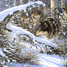 Схема вышивки «№229828»