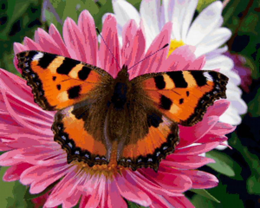 №229832 - предпросмотр