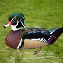 Схема вышивки «№229840»