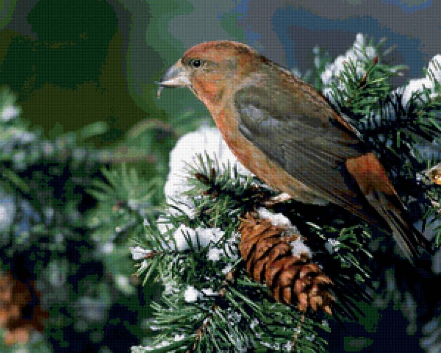 №229841 - предпросмотр