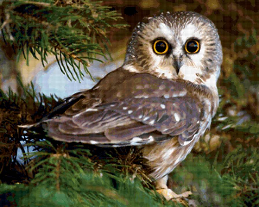 №229842 - предпросмотр