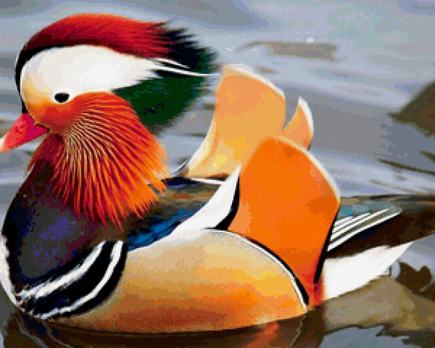 №229843 - предпросмотр