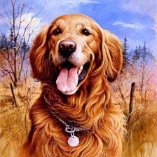 Схема вышивки «kutyus»