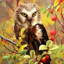 Схема вышивки «bag»