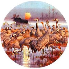 Схема вышивки «afrika»