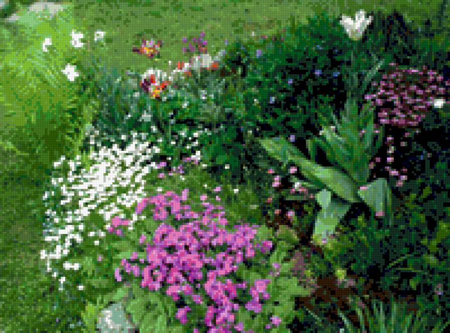 начало лета - цветы, альпийская горка - предпросмотр