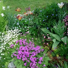 начало лета