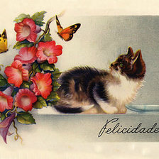 Кот и цветы