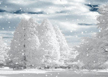 Схема вышивки «Зима»