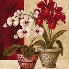 Схема вышивки «№230170»