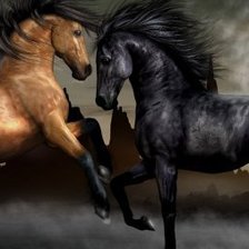 Схема вышивки «лошади»