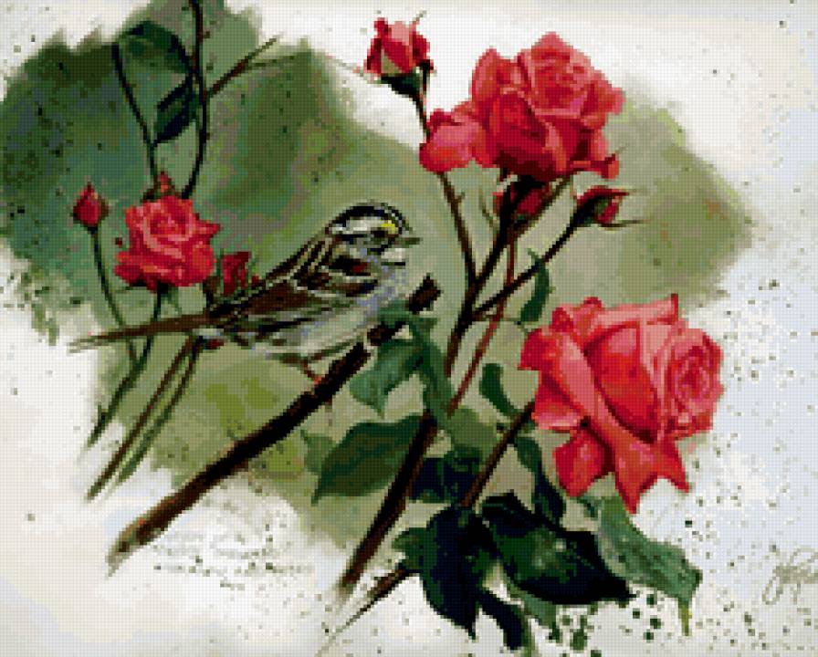 натюрморт - цветы, букет, розы, птичка - предпросмотр