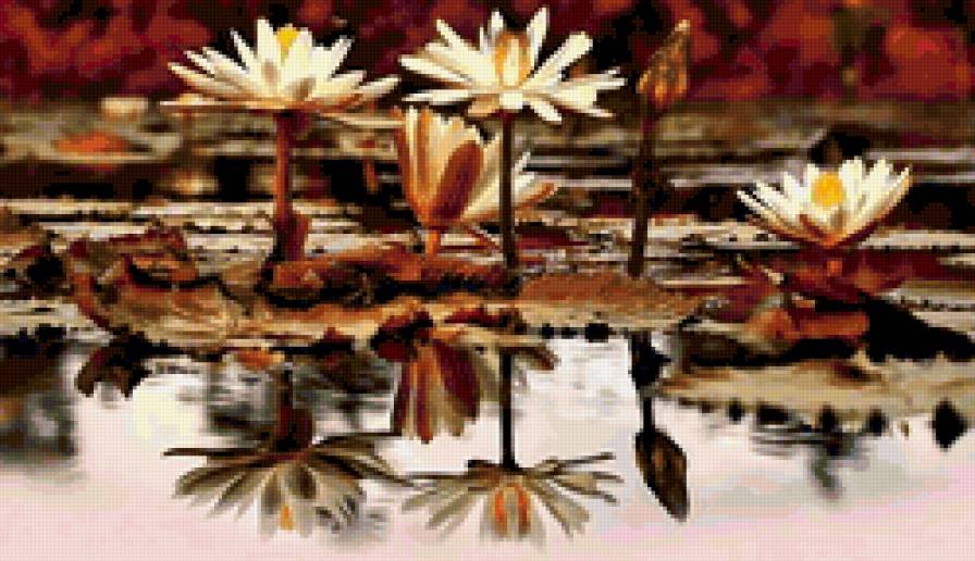 кувшинки - предпросмотр