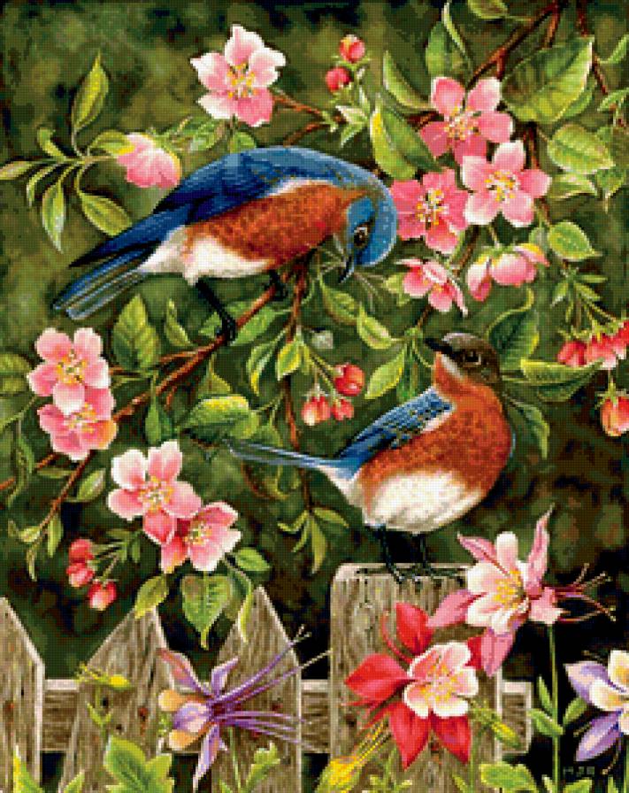 Martin Ryan - птицы, цветы, цветение - предпросмотр