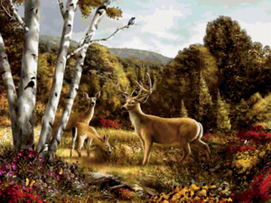 ГОРНЫЙ ОЛЕНЬ - горы, природа, пейзаж, олень - предпросмотр
