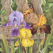 Схема вышивки «Martin Ryan»