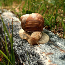 Схема вышивки «улитка»