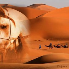 Схема вышивки «sivatag»