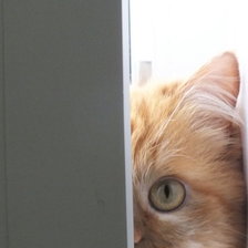 Схема вышивки «все вижу.»