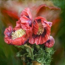 Схема вышивки «№230632»