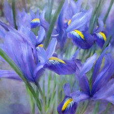 Схема вышивки «№230698»