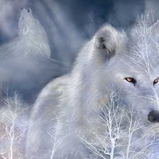 Схема вышивки «№230868»