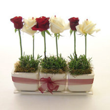 Схема вышивки «розы»