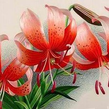 Схема вышивки «лилии»