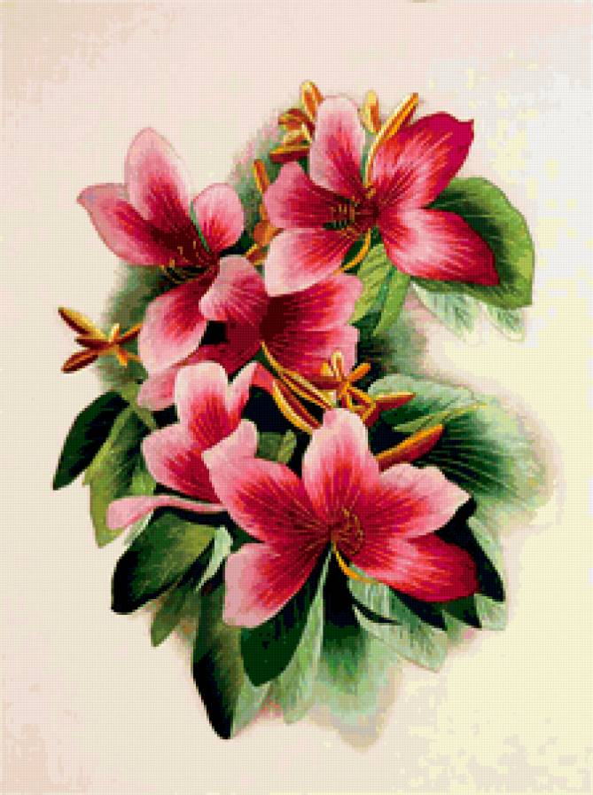 цветы - цветы, букет - предпросмотр