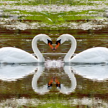 Схема вышивки «№230998»