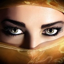 Схема вышивки «Царица пустыни»