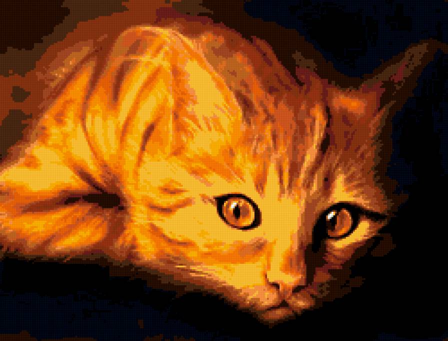 рыжик - кошки, животные - предпросмотр