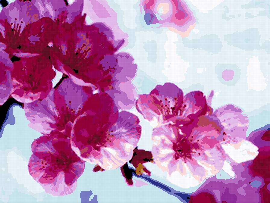 Цветущая яблоня - яблоня, цветы, деревья - предпросмотр