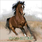 Схема вышивки «арабский жеребец»