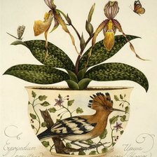 Схема вышивки «Серия "Орхидеи"»